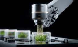 배양 성공 사례는 얼마나 되나요?